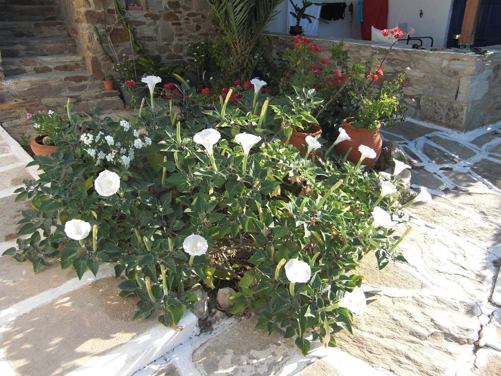 Eva Villa Mylopotas Exterior photo