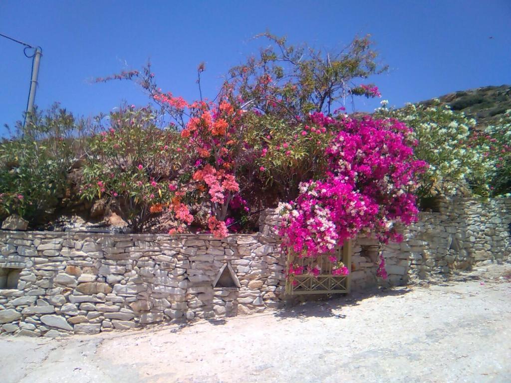 Eva Villa Mylopotas Exterior photo